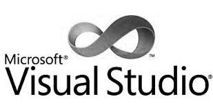 Software development in India